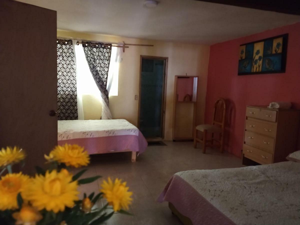 El Paraiso De Zacatlan Departamento Con Jardin, 11 Pax Exteriér fotografie